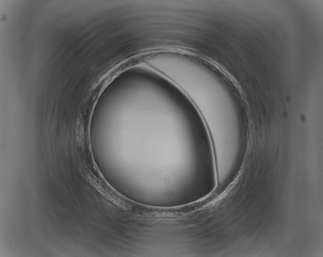 X0000083590969200702090837