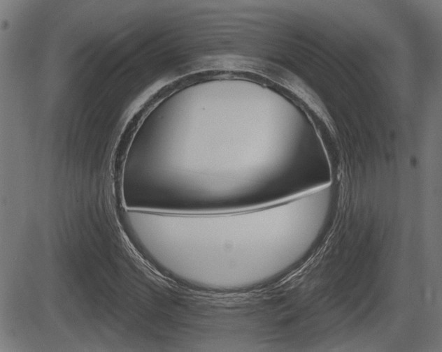 X0000083590972200702090837