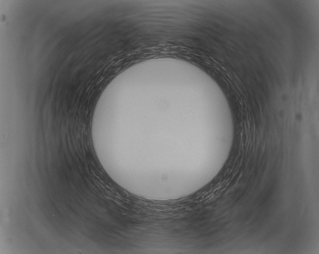 X0000083591010200702090836