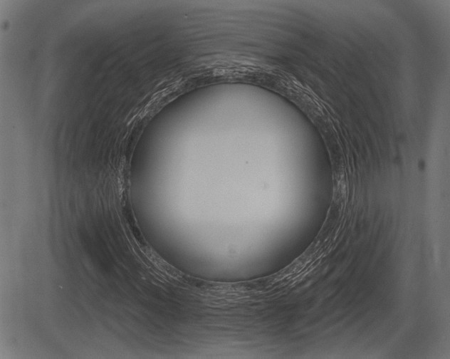 X0000083591012200702090836