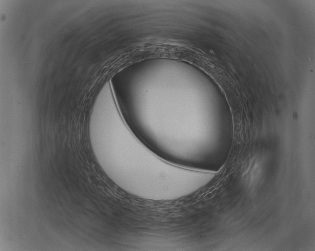 X0000083591013200702090836