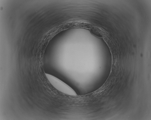 X0000083591014200702090836