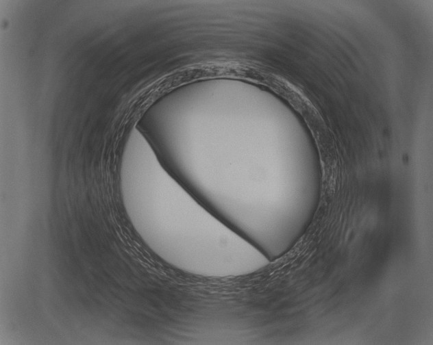 X0000083591015200702090836