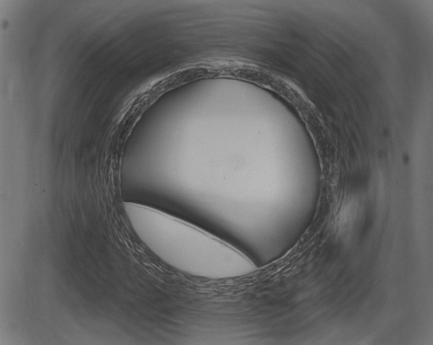 X0000083591016200702090836