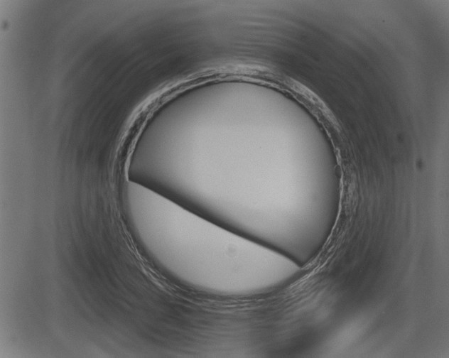 X0000083591027200702090836