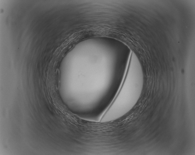 X0000083591057200702090836