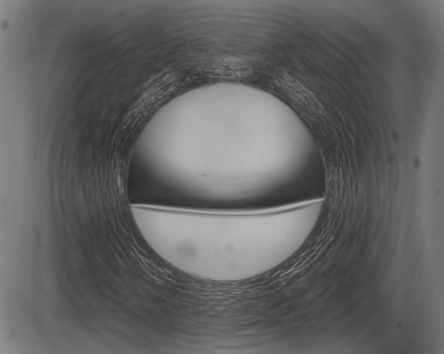 X0000083591058200702090836