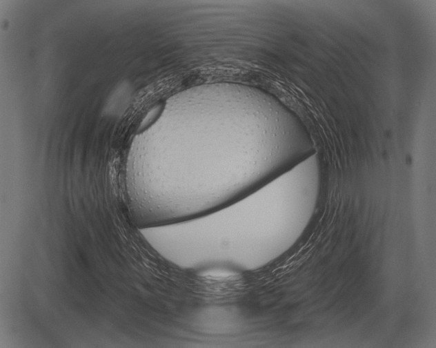 X0000083591059200702090836