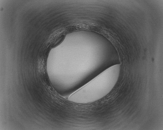 X0000083591060200702090836