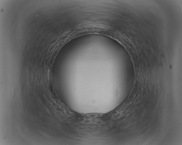 X0000083591061200702090836