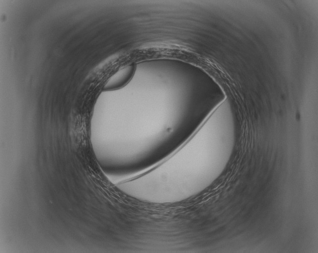 X0000083591062200702090836