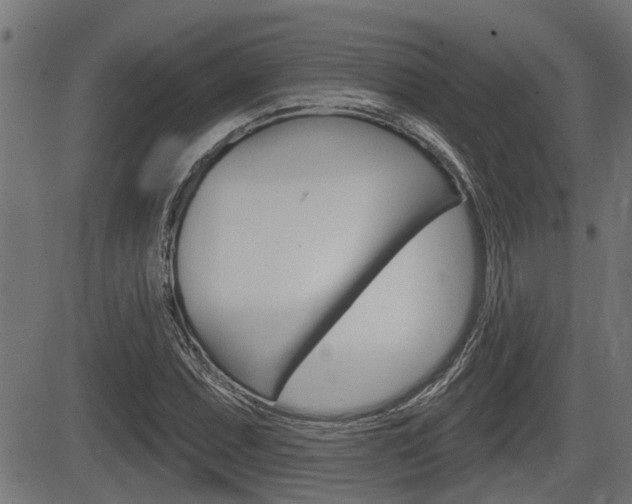 X0000083591071200702090836