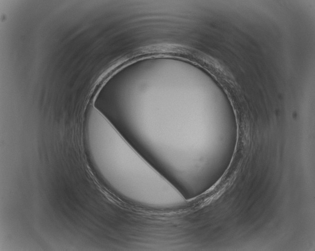 X0000083591073200702090836