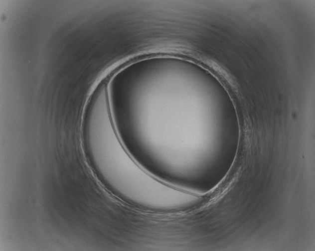 X0000083591077200702090835