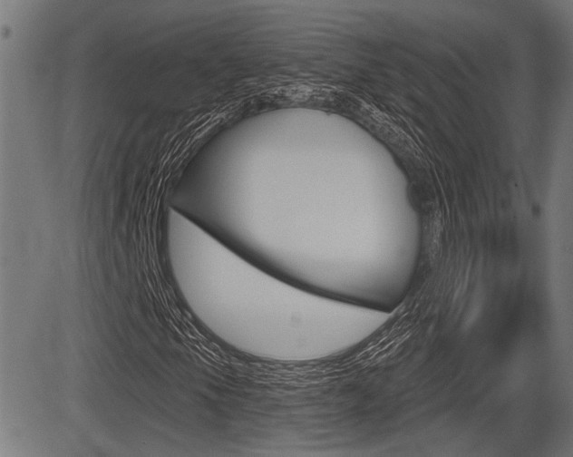 X0000083591105200702090834