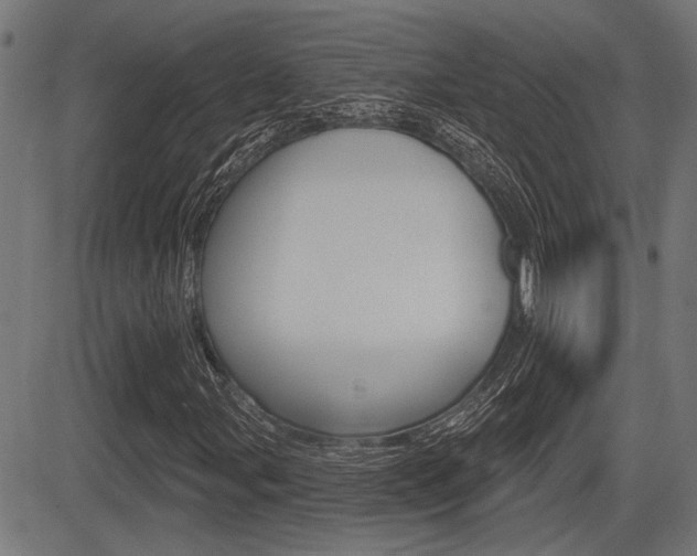 X0000083591107200702090834