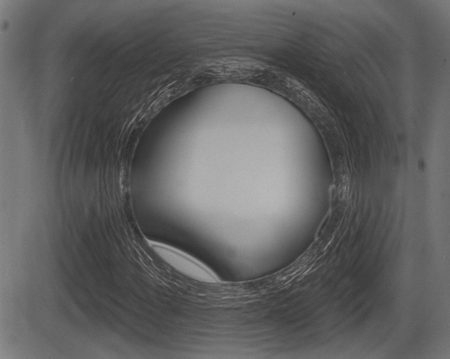 X0000083591108200702090834