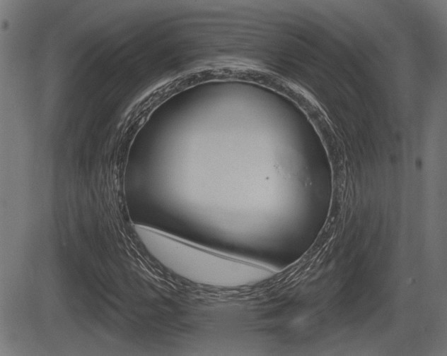 X0000083591112200702090834
