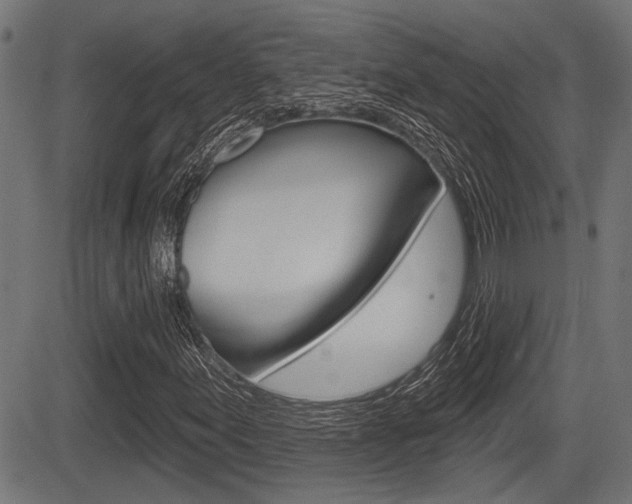X0000083591155200702090834