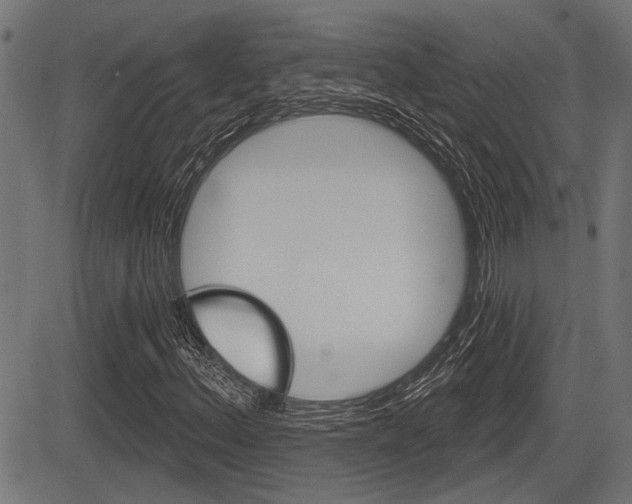 X0000083591156200702090834