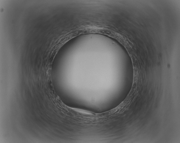 X0000083591157200702090834
