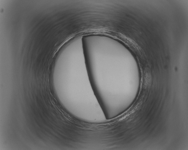 X0000083591162200702090834