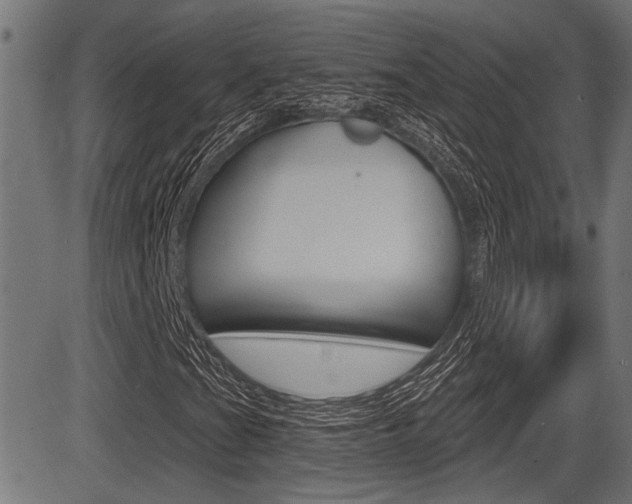 X0000083591201200702090833