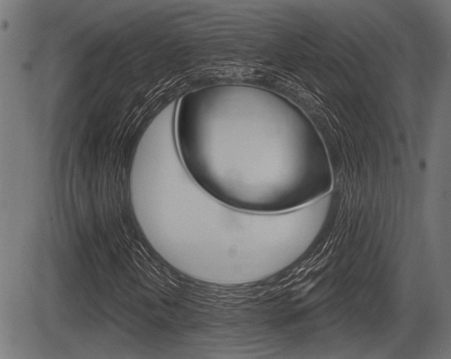 X0000083591202200702090833