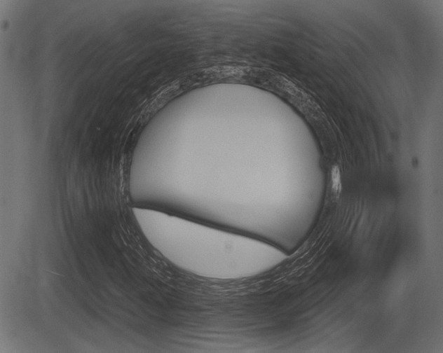 X0000083591203200702090833
