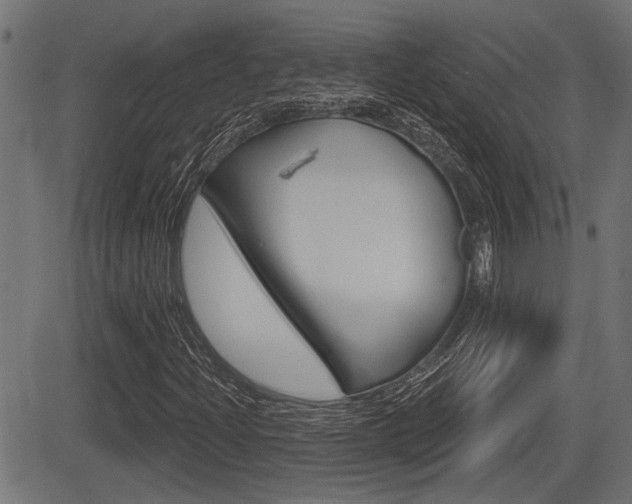 X0000083591204200702090833