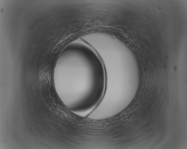 X0000083591206200702090833