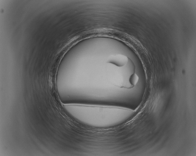 X0000083591209200702090833