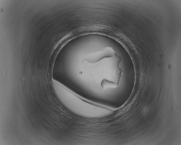 X0000083591210200702090833
