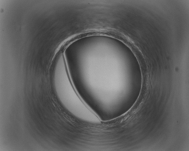 X0000083591214200702090833