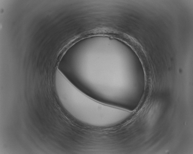 X0000083591217200702090833
