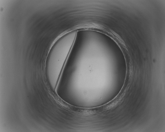X0000083591226200702090833