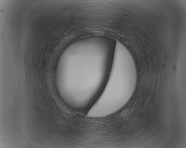 X0000083591249200702090833
