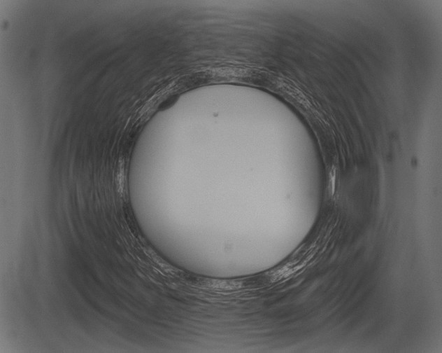 X0000083591251200702090833