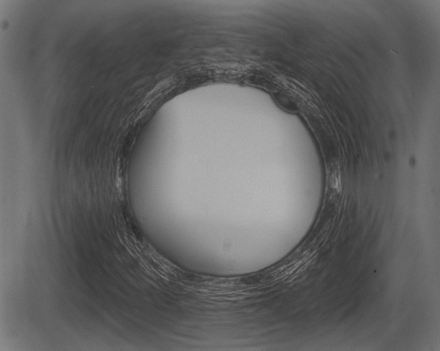 X0000083591252200702090833