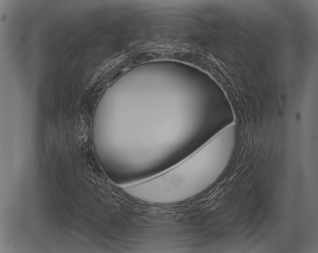 X0000083591253200702090833