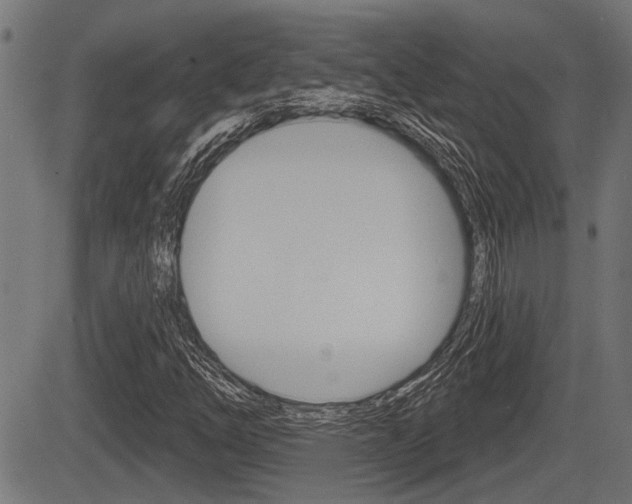 X0000083591254200702090833
