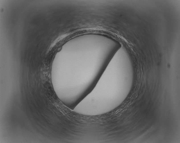X0000083591255200702090833