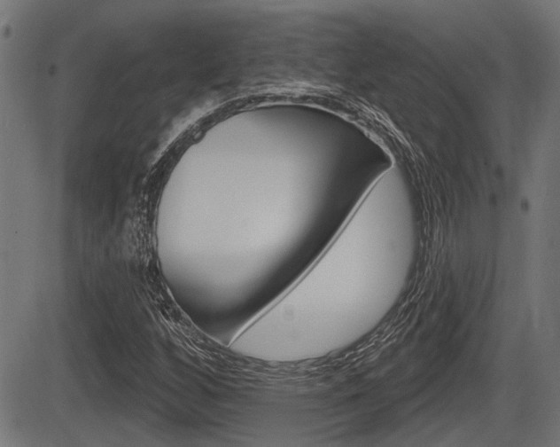 X0000083591256200702090833