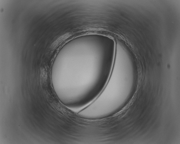 X0000083591257200702090833
