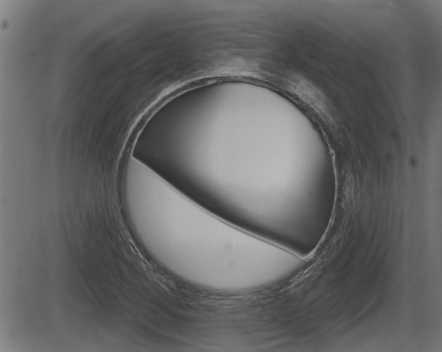 X0000083591268200702090832