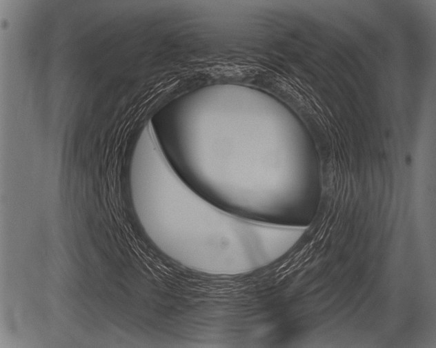 X0000083591297200702090831