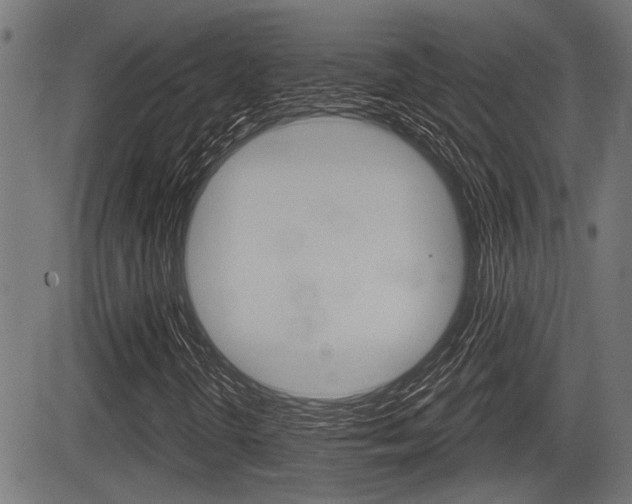 X0000083591298200702090831