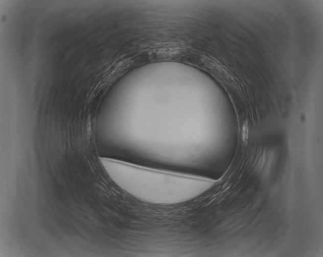 X0000083591299200702090831