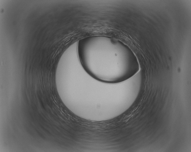 X0000083591300200702090831