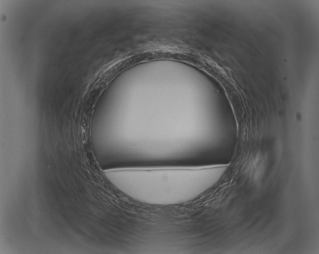 X0000083591303200702090831
